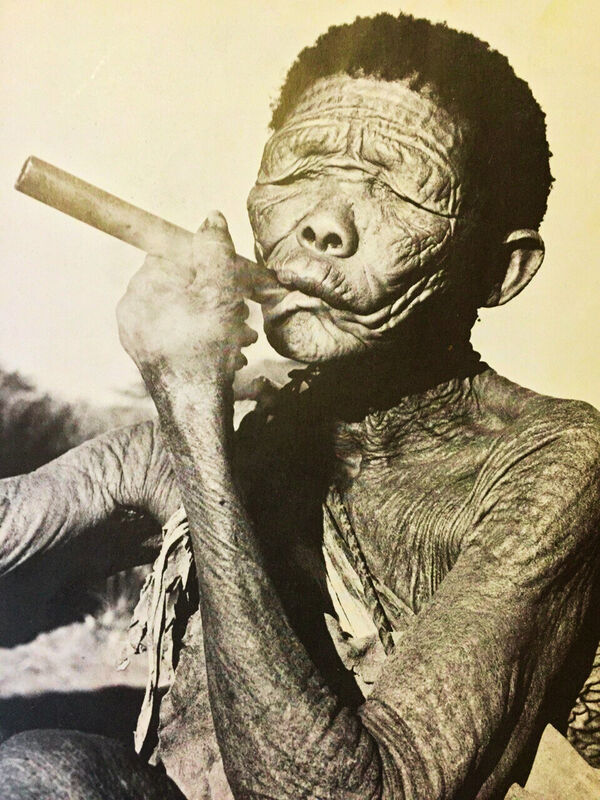 Bushman and Beyond book cover