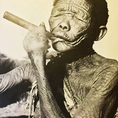 Bushman and Beyond