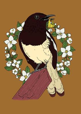 Magpies Perch sticker